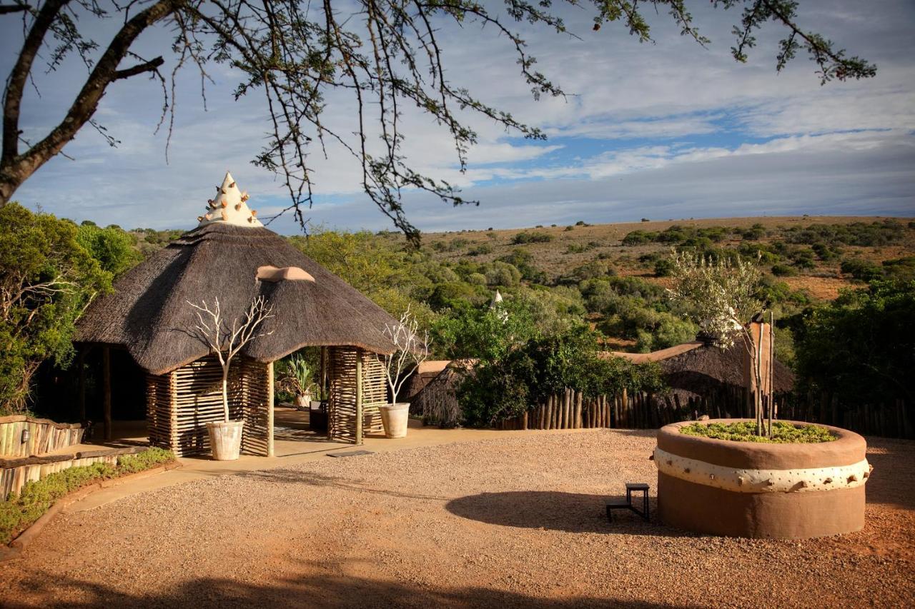 Safari Lodge - Amakhala Game Reserve Exterior photo
